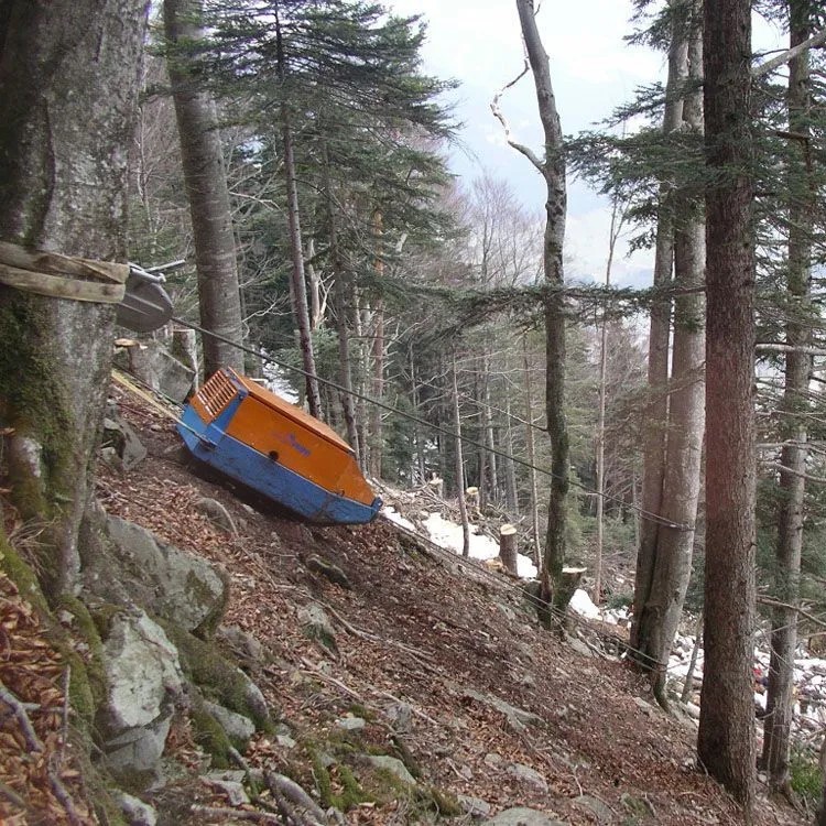 Seilbahnwagen auf steilem Hang im Wald, abgesichert zwischen Bäumen, Winterlandschaft im Hintergrund.