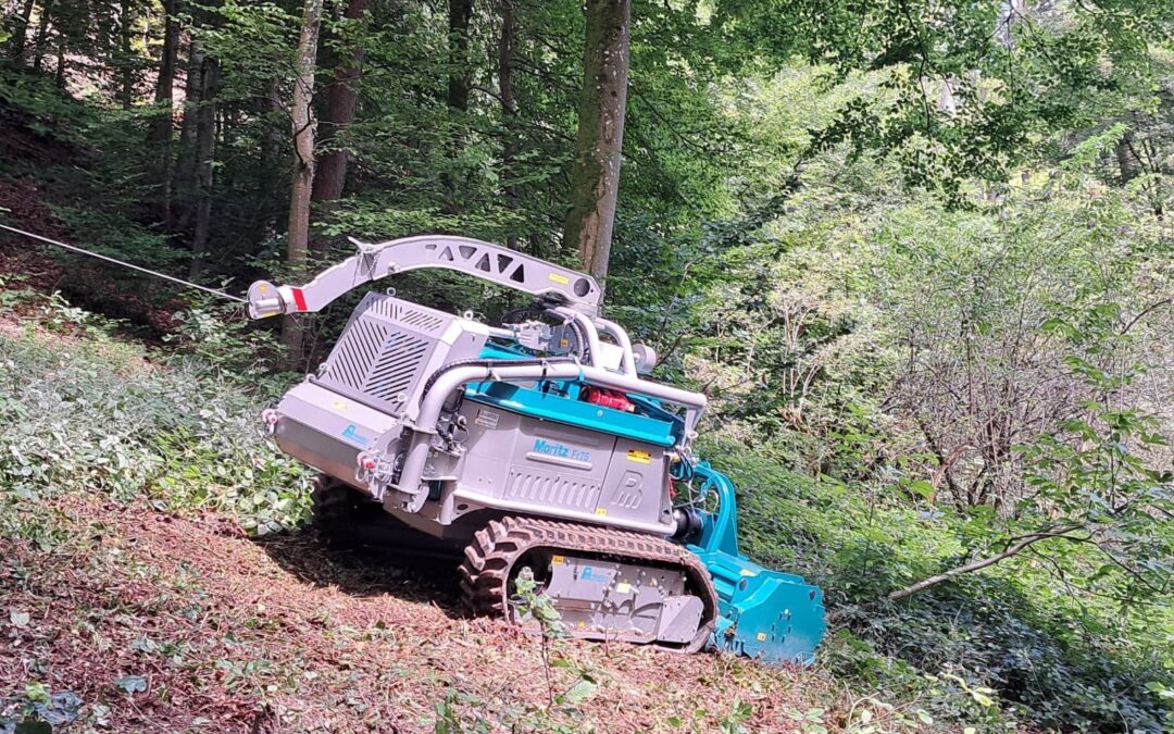 Ferngesteuerter Mäher bei der Waldpflege auf steilem Gelände im Einsatz.