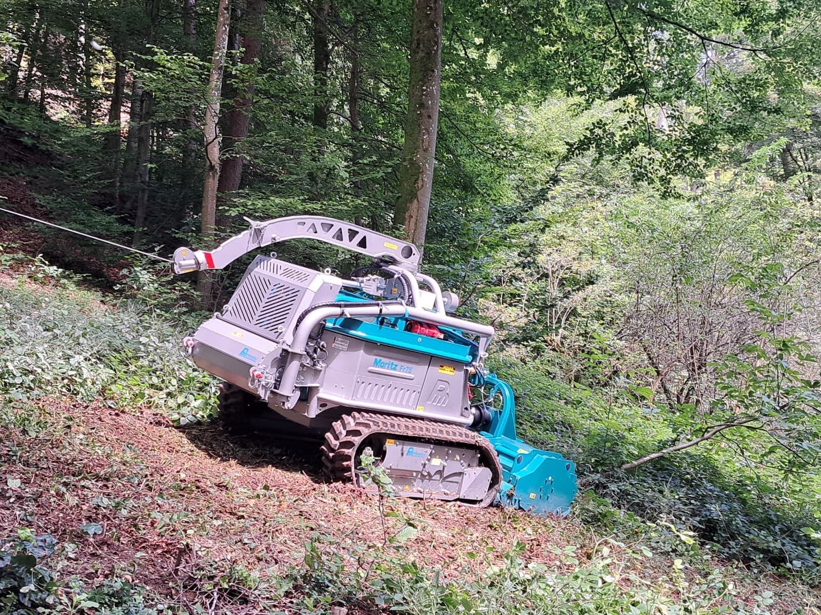 Ferngesteuerter Mäher bei der Waldpflege auf steilem Gelände im Einsatz.